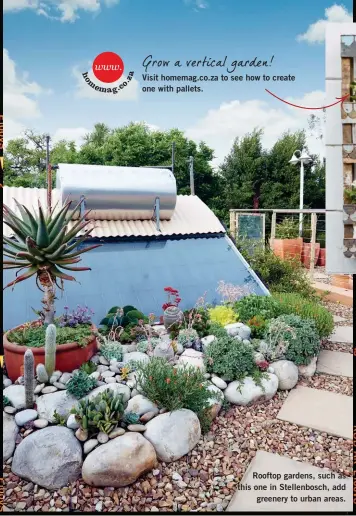  ??  ?? Rooftop gardens, such as this one in Stellenbos­ch, add greenery to urban areas.