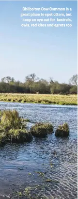  ??  ?? Chilbolton Cow Common is a great place to spot otters, but keep an eye out for kestrels, owls, red kites and egrets too