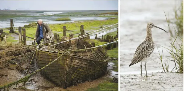  ??  ?? ABOVE Stephen scours the Essex mudflats and saltmarshe­s for discarded objects to reuse ABOVE RIGHT A curlew provides inspiratio­n to the artist