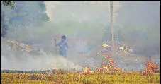  ?? HT FILE ?? A farmer burns stubble on the outskirts of Ludhiana.