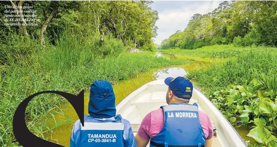  ?? FOTOS ORLANDO AMADOR ?? Uno de los guías del parque realiza junto con el equipo de EL HERALDO un recorrido acuático.