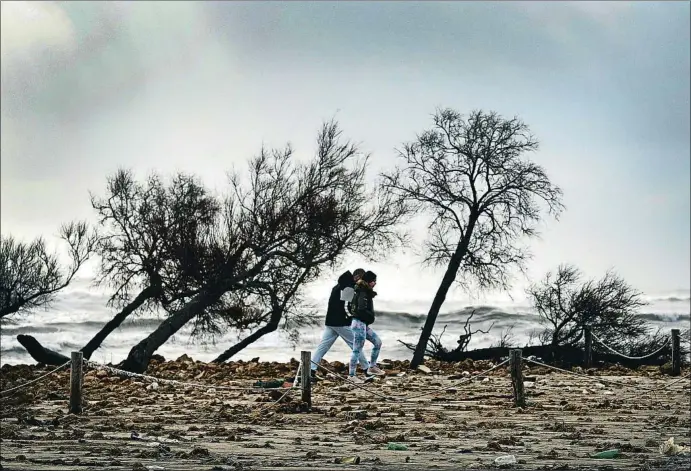  ?? XAVI JURIO ?? Dos personas caminan por la playa de la isla de Buda, en el delta del Ebro, en la que se aprecian los destrozos causados por el temporal Gloria esta semana