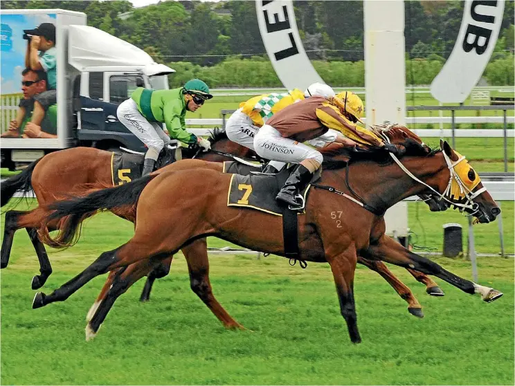  ??  ?? Former Cambridge trainers Trent Busuttin and Natalie Young have picked up their biggest win with 2015 Wellington Stakes winner Tavago since moving to Australia last winter.