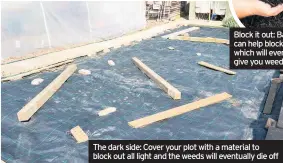  ??  ?? Block it out: Bark mulch can help block light which will eventually give you weed-free soil The dark side: Cover your plot with a material to block out all light and the weeds will eventually die off