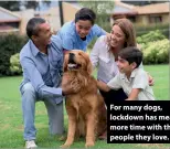  ??  ?? For many dogs, lockdown has meant more time with the people they love.