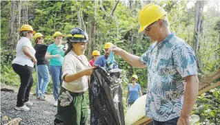  ??  ?? Un equipo del Wyndham Grand Rio Mar, junto a la Fundación de Bosques Nacionales y el Servicio Forestal, hicieron actividade­s de limpieza y restauraci­ón en El Yunque.