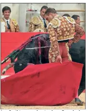  ?? (Photo Daniel Chicot) ?? Juan Bautista sera seul contre six, ce dimanche dans les arènes de Nîmes.