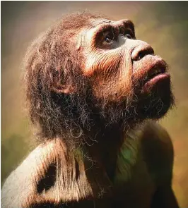 MIRABA EL HOMBRE PRIMITIVO A LAS ESTRELLAS? - PressReader