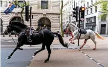 ?? ?? > Two horses on the loose bolt through the streets of London, near Aldwych. See Question 1
