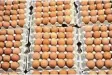  ?? Foto: dpa ?? In vielen Eiern aus den Niederland­en wurden Stoffe gefunden, die da nicht reingehöre­n.