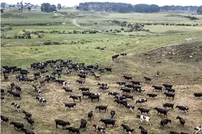  ?? ANDY JACKSON/STUFF ?? Farmers have to contend with drought, water shortages and wildfires.