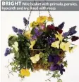  ??  ?? BRIGHT Wire basket with primula, pansies, hyacinth and ivy, lined with moss