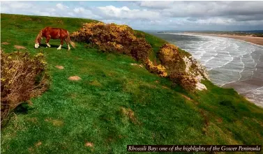  ??  ?? Rhossili Bay: one of the highlights of the Gower Peninsula