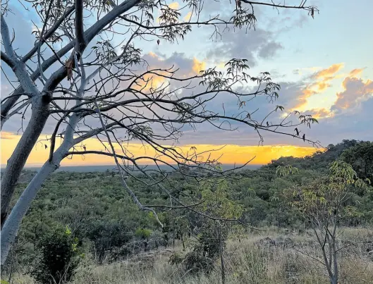  ?? DPA-BILD: Verena Wolff ?? Der Undara-Volcanic-Nationalpa­rk liegt im Landesinne­ren von Queensland. Undara bedeutet „langer Weg“.