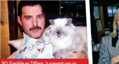  ??  ?? BO: Freddie en Tiffany, ’n present van sy eksmeisie Mary Austin. REGS: Mary en Freddie in 1985 by ’n liefdadigh­eidsgeleen­ttheid in die Royal Albert Hall.