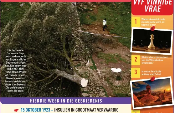  ?? ?? Die beroemde Sycamore Gapboom in die noorde van Engeland is in September afgekap. Die boom was in die 1991-fliek
Robin Hood: Prince of Thieves te sien. Die rede waarom iemand so iets sou doen, is onbekend. Die polisie ondersoek die saak.