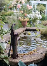  ??  ?? The pond by the water pump is home to many friendly frogs, as is Spring Creek which continues to draw Huguette and her husband Georges Michel. They often sit on the riverside landing and enjoy wine produced by their own Georges Michel Wine Estate label. They grow and produce sauvignon blanc, chardonnay, viognier, pinot noir and syrah. Huguette gifts all the income from the garden (including entrance fee and weddings) to the Blenheim Cancer Society and the Malaghan Institute of Medical Research in Wellington. “The donation is good motivation to keep going and gardening helps me keep fi t otherwise I can be lazy.” OPPOSITE: Spring Creek fl ows on the northern side of the property, and in the more shaded east is Huguette’s potting and painting shed.