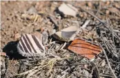  ?? MATT DAHLSEID/THE NEW MEXICAN ?? RIGHT: To the casual observer, the Pueblo San Marcos site is covered in weeds and rocks. Up close, it’s easy to find shards of pottery and, on occasion, beads of turquoise.