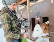  ??  ?? Die Wertinger Milchviehh­alterin Martina Wagner nutzt diesen Winter, um sich mit Homöopathi­e auseinande­rzusetzen.
