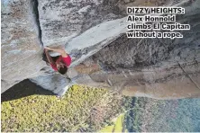  ??  ?? DIZZY HEIGHTS: Alex Honnold climbs El Capitan without a rope.