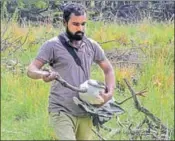  ??  ?? A Haryana wildlife department official releases a rare blacknecke­d stork, which was rescued two days ago with its beak jammed by a rubber ring around it, at Sultanpur National Park on Friday. PTI