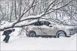  ?? Vasily Maximov AFP/Getty Images ?? MOSCOW’S snowstorm felled trees but also turned city streets into a picturesqu­e winter painting. About a month’s worth of snow fell in 36 hours.