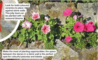  ??  ?? Look for bold-coloured ceramics to place against stone walls. This jolly boot can be planted with seasonal blooms
Make the most of planting opportunit­ies: the space between the stones in a stone wall is the perfect spot for colourful petunias and lobelia