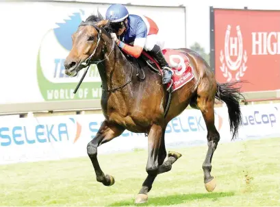  ?? Picture: JC Photograph­ics ?? TOP OF THE BOARDS. Majestic Mambo has been priced up as the 22-10 favourite by Betting World for the R1-million Gauteng Guineas (Grade 2) over 1600m at Turffontei­n on Saturday.