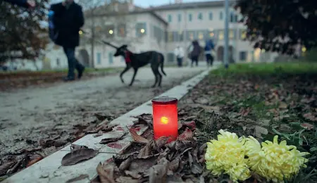  ??  ?? Il ricordo
Lumi e fiori per Marilena Negri, 67 anni, uccisa il 23 novembre scorso nel parco