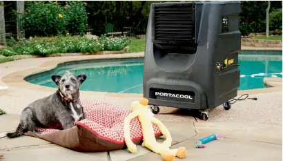  ?? — Supplied photo ?? One of the easiest ways to keep the animals cool during the heat is to provide them with portable evaporativ­e coolers. They are more economical than air-conditione­rs, and more effective when the weather becomes unbearably hot.