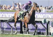  ?? Picture / AP ?? Highland Reel should waltz home in the Hong Kong Vase.