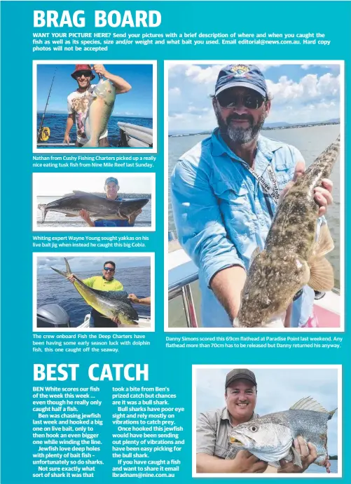  ??  ?? Nathan from Cushy Fishing Charters picked up a really nice eating tusk fish from Nine Mile Reef last Sunday. Whiting expert Wayne Young sought yakkas on his live bait jig when instead he caught this big Cobia. The crew onboard Fish the Deep Charters...