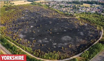  ?? ?? YORKSHIRE
Too close for comfort: Charred woodland just yards from homes in the village of Skellow, near Doncaster