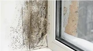  ??  ?? By pushing water into a room, evaporativ­e coolers could compound issues with mould, Consumer New Zealand says.