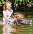  ?? Foto: dpa ?? Das ist Anna. Mit ihren Ponys tollt und badet sie gerne in der Donau.