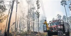  ?? DOROTHY EDWARDS, AP ?? A brush fire burns in Naples, Fla., on March 7. Drought is exacerbati­ng wildfires across the state.