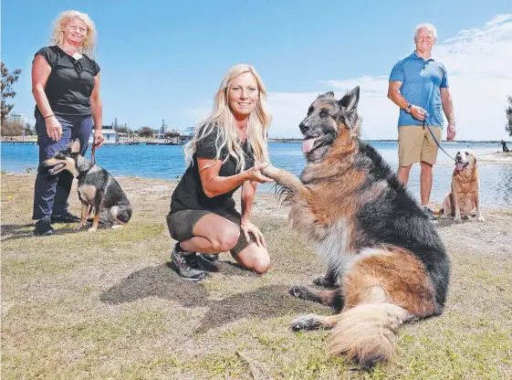  ?? Picture: TIM MARSDEN ?? Dog trainers, from left, Sharron Eaves with Mouse, Emma McKenzie with Cody and Paul Templeman with Tia at Broadwater Parklands.