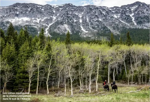  ??  ?? Les crêtes meringuées de la chaîne Livingston­e dans le sud de l’Alberta.