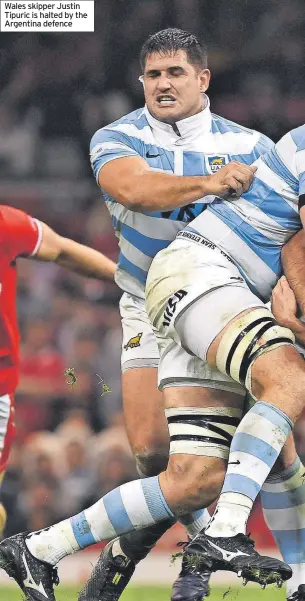  ?? ?? Wales skipper Justin Tipuric is halted by the Argentina defence