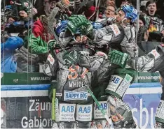  ??  ?? Vor Freude waren die Augsburger Panther kaum mehr zu stoppen: Sie drehten gegen München einen 0:1 Rückstand in einen 4:1 Sieg.