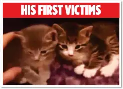  ??  ?? HUNGRY FOR
NOTORIETY: Luka Magnotta, top, posted a video of him killing two kittens before his actions grew even more extreme