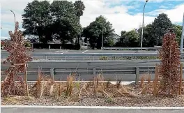  ?? ?? The busway between Panmure and Pakuranga has a concrete seat to admire a view obscured by a thick wooden barrier at eye level, top left; and there are dead trees and shrubs, top right, and weeds, left.