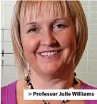  ?? ?? > Professor Julie Williams