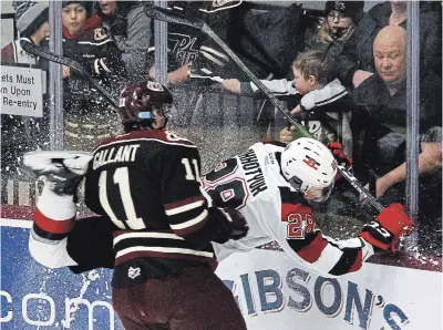  ?? CLIFFORD SKARSTEDT EXAMINER FILE PHOTO ?? Petes captain Zach Gallant checks Ottawa’s Nikita Okhotyuk in OHL action Feb. 8. The OHL is seeking clarity from Lisa MacLeod after she said hockey leagues must eliminate body contact to return to play during the pandemic.