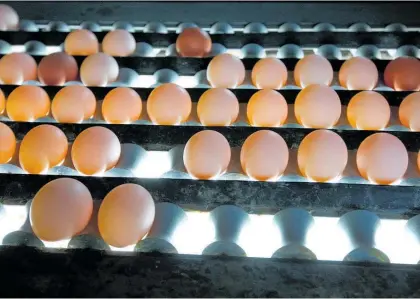  ?? Photo / NZME ?? Whanganui poultry farmer Ian Higgins says egg price rises are inevitable due to pressure on suppliers.