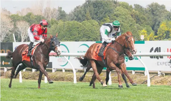  ?? Picture / Trish Dunell ?? Felton Road (right) is being earmarked for the Tavistock Northland Breeders’ Stakes at Ruakaka.