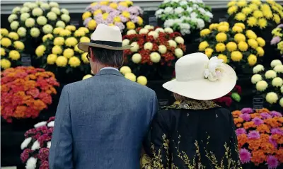  ??  ?? A tu per tu Visitatori al Chelsea Flower show di Londra, l’evento più importante al mondo nel garden design. La kermesse si conclude oggi (Reuters)