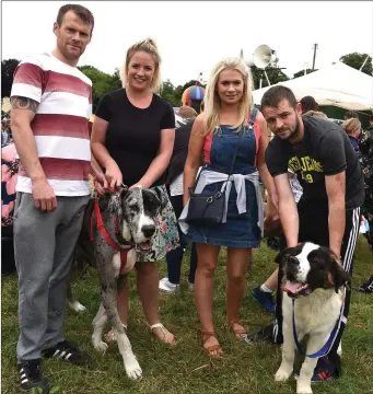  ?? All photos by Michelle Cooper Galvin ?? Dan and Sarah McCarthy from Kilmartyra with their great Dane ‘Tashi’ and Nicola O’Donoghue and Niall Kelly from Coolea with their St Bernard ‘Bear’ at Kilgarvan Show.