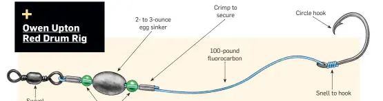  ??  ?? Crimp to secure Circle hook 2- to 3-ounce egg sinker 100-pound fluorocarb­on Snell to hook Swivel Plastic beads