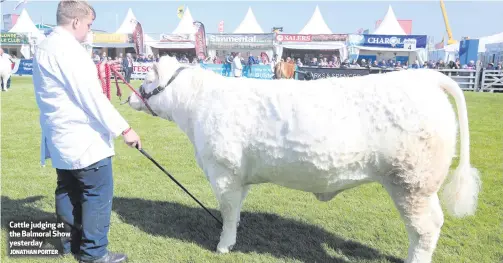  ?? JONATHAN PORTER ?? Cattle judging at the Balmoral Show yesterday